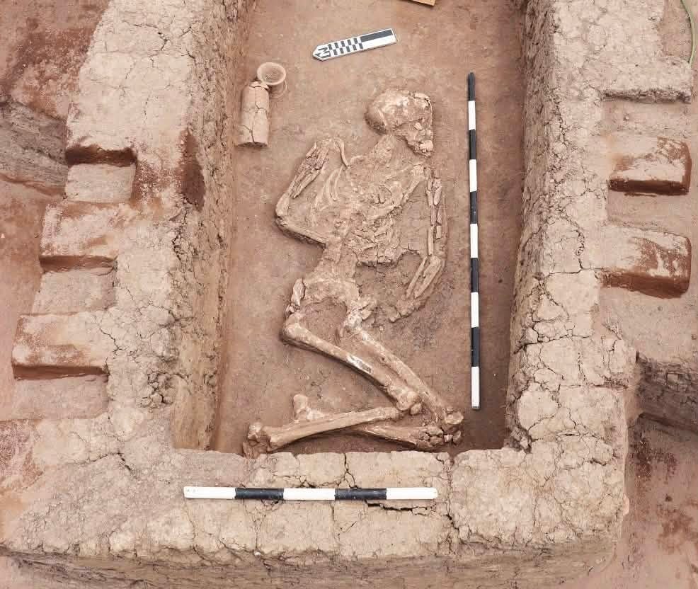 One of the burials at Kafr al-Hattaba, laid in a mudbrick-lined grave with pottery vessels by the head. One of the burials at Kafr al-Hattaba, laid in a mudbrick-lined grave with pottery vessels by the head.