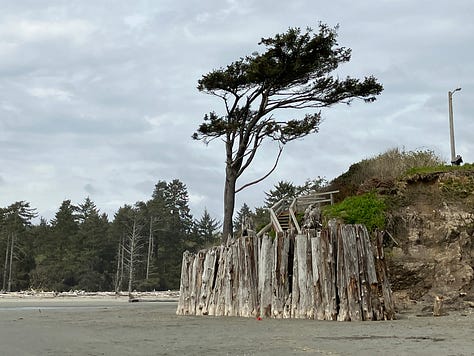 Photos of Olympic National Park coast, rain forest, and trails