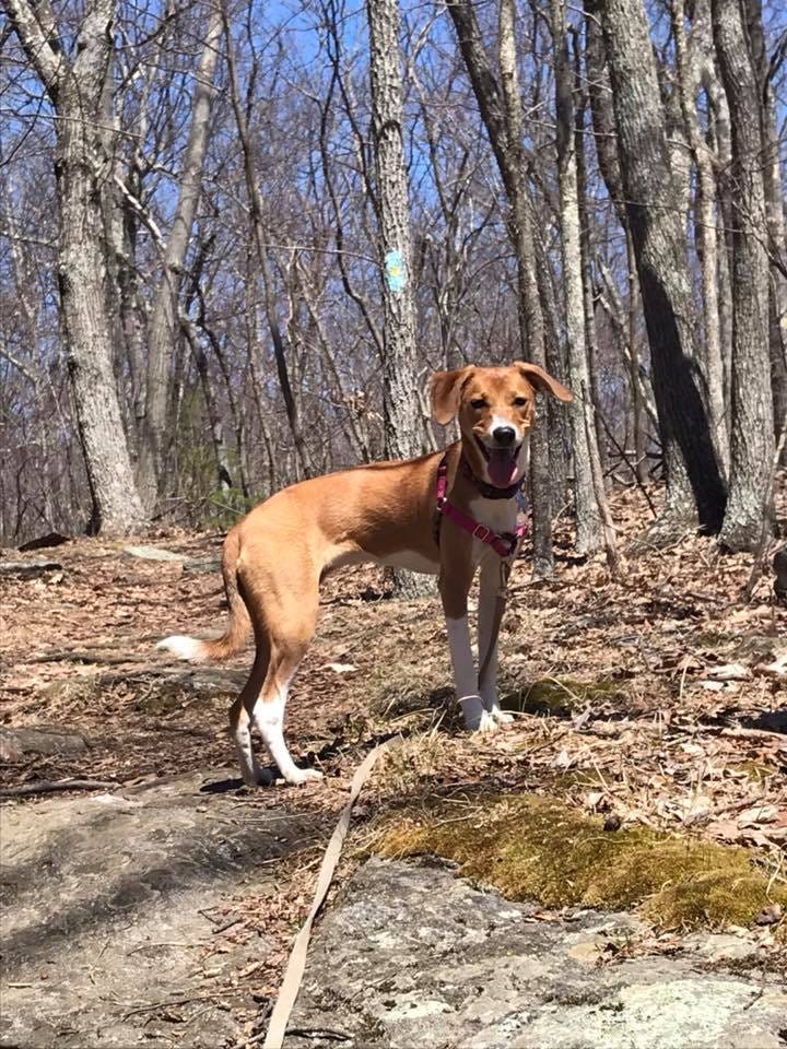 No photo description available. No photo description available.