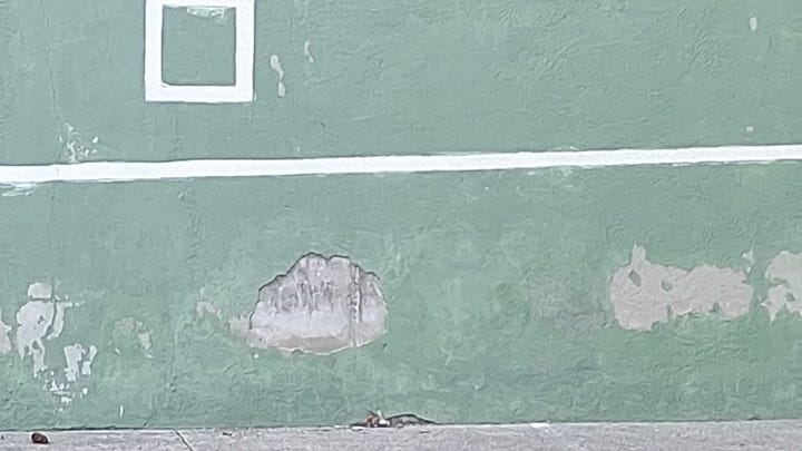 Estado de las pistas de frontenis del Polideportivo Municipal