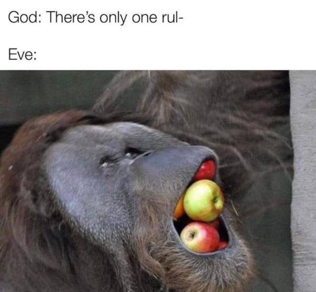 May be an image of apple and text