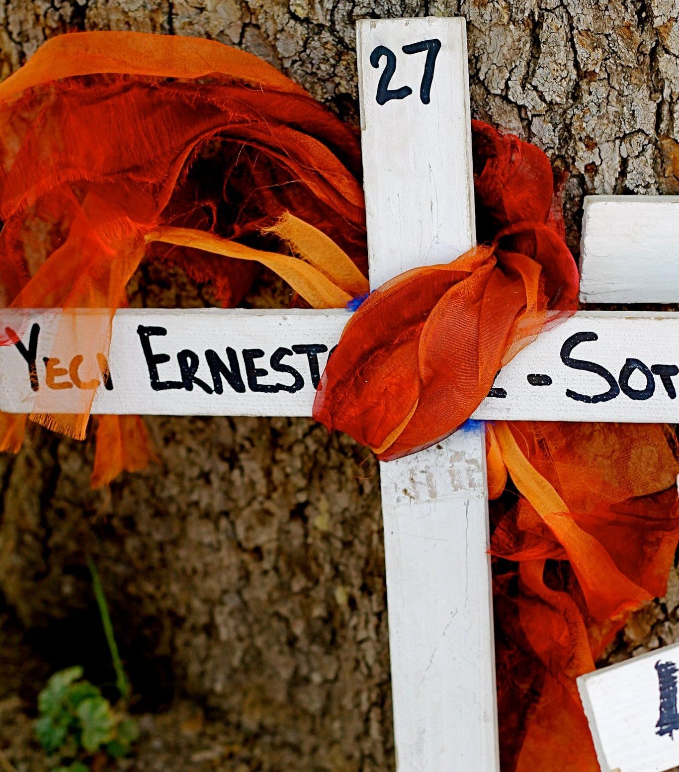 No photo description available.