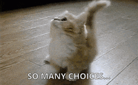 Which One Choices GIF Which One Choices GIF