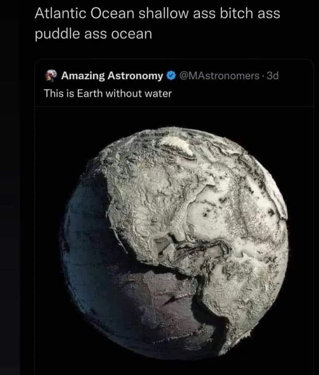 r/BrandNewSentence - “puddle ass ocean”