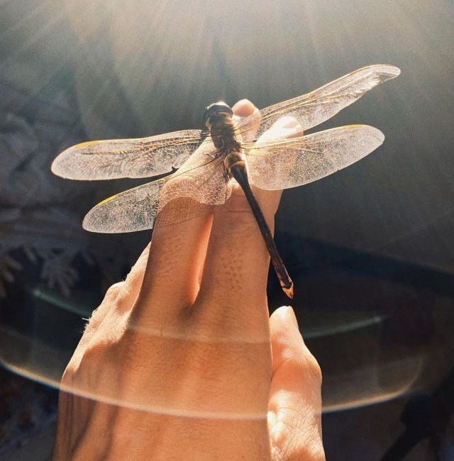 One Month Of Becoming A Meditation Teacher