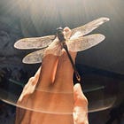 One Month Of Becoming A Meditation Teacher