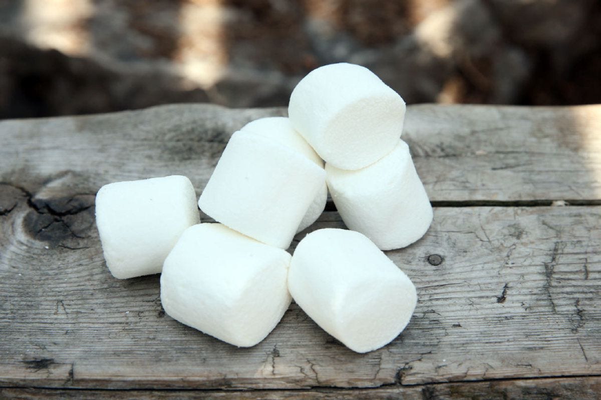 Raising the perfect child, one marshmallow at a time | The Star