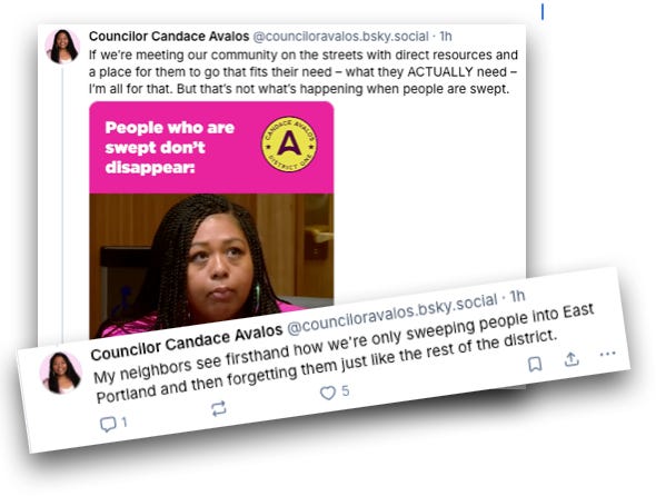 Cleaning Up After the Elephant Parade