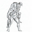 User's avatar