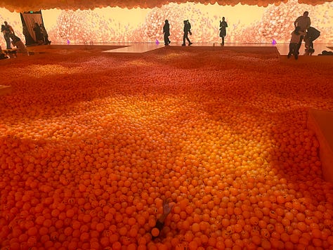 Worth a Visit: https://tickets.balloonmuseum.world/emotion-air-san-francisco/?gad_source=1&gclid=CjwKCAjw47i_BhBTEiwAaJfPphbQ_hbLBW1PkeKTnCTyZvgC-wkPePnPpvZ6jMb4Fi8OabUeRfdDehoCfTUQAvD_BwE