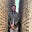 Matthew Baron's avatar