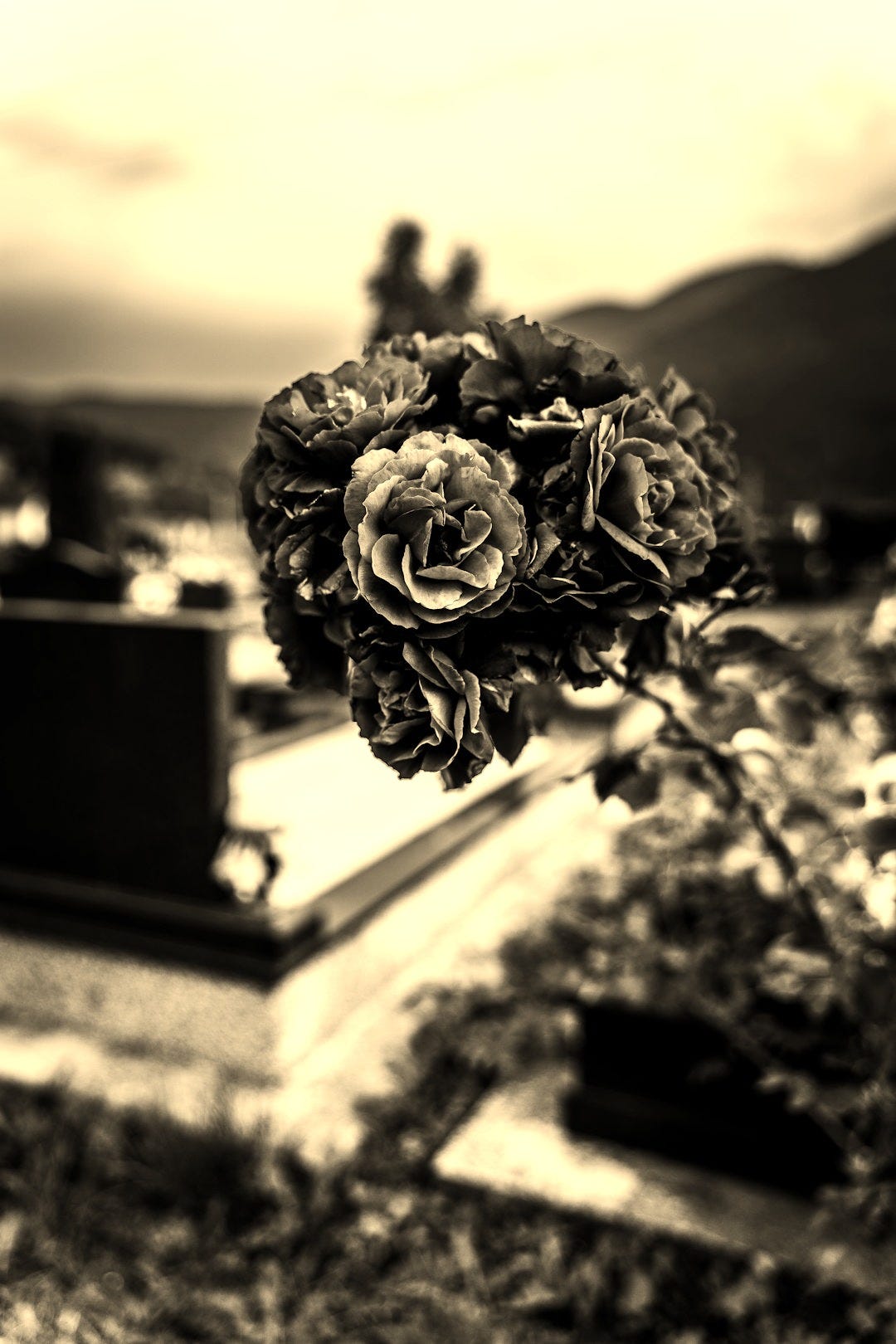 greyscale photo of bouquet of roses