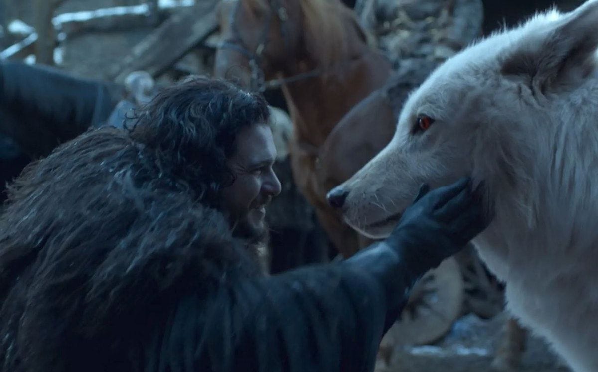 The morning after Game of Thrones. The morning after Game of Thrones.