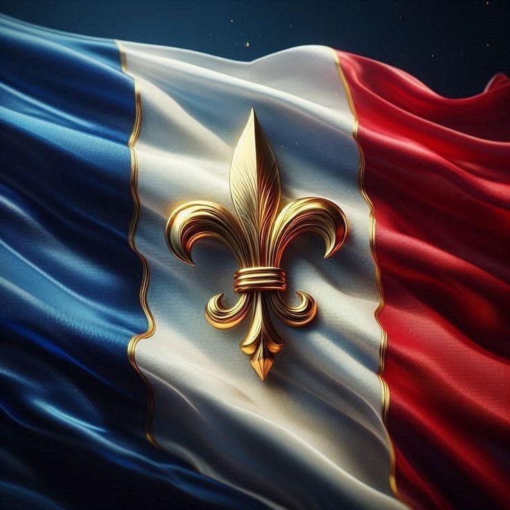 Pin by devichancé on République Française in 2024 | French flag, French ...