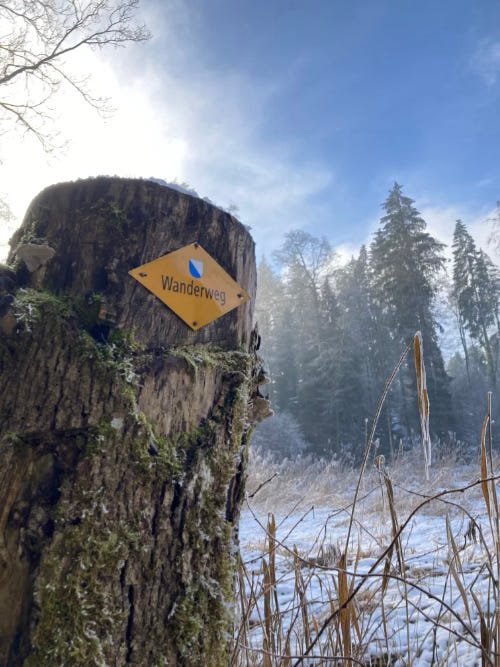 Snowy and cold landscape. There is a stump with a plaque indicating that there is a trail.