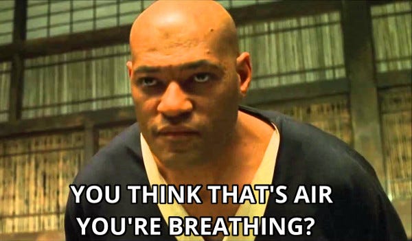 🔫 Trigger Alert: There’s ABUNDANT Evidence Supporting Simulation Theory & the Phoenix Phenomenon (SLUUU Exclusive)