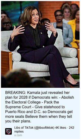 Kamala Harris proposes abolishing the Electoral College, packing the Supreme Court, and granting statehood to Puerto Rico and D.C. AI-generated content may be incorrect.
