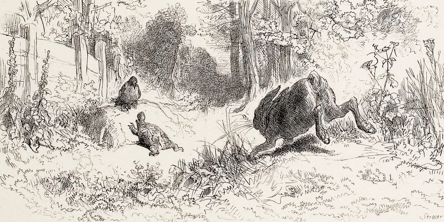 Le Lièvre et la Tortue | BnF Essentiels