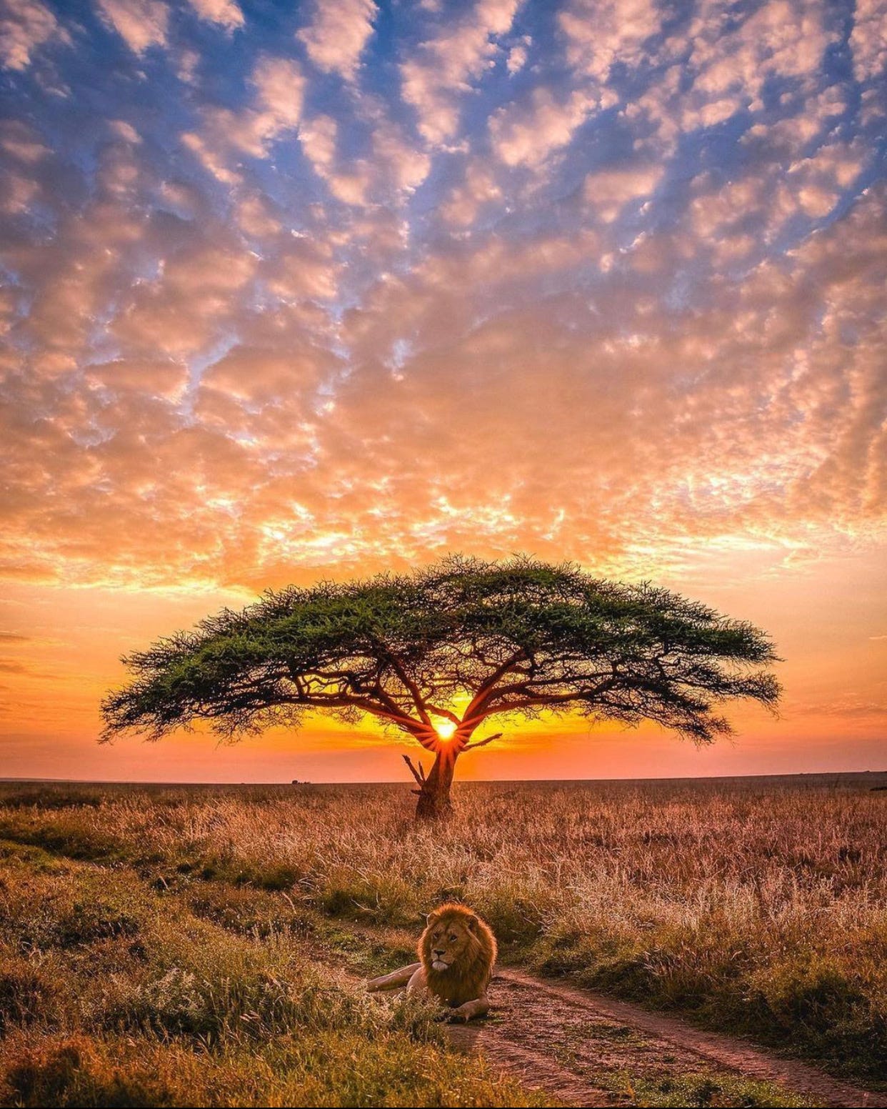 Source: Instagram