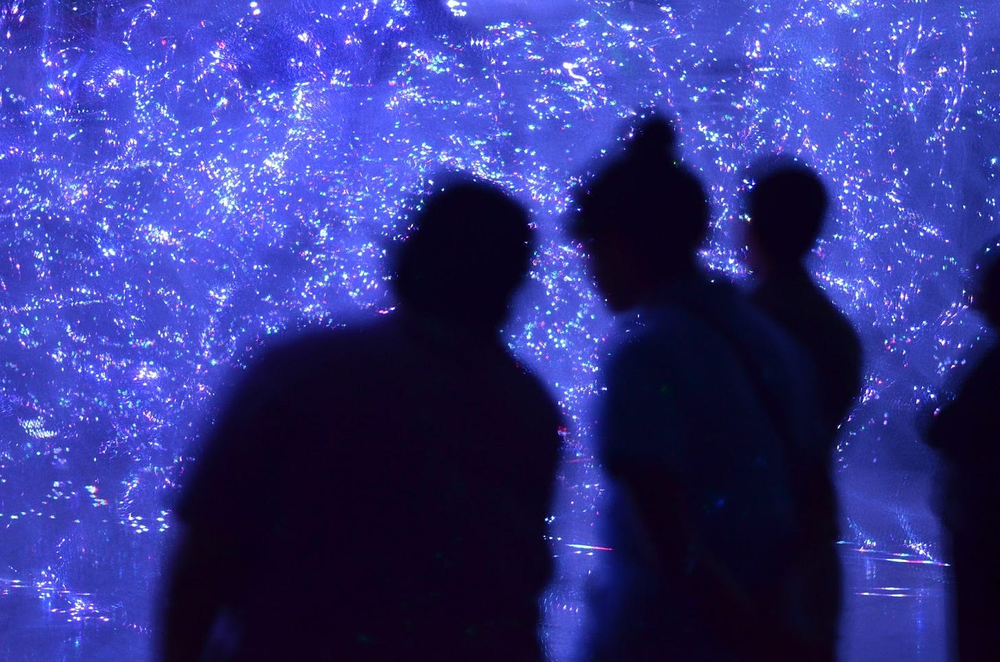 Deeds Not Words Staff and Campus Organizers at an art exhibit that featured experimental lighting effects in Houston, Texas in 2024. Deeds Not Words Staff and Campus Organizers at an art exhibit that featured experimental lighting effects in Houston, Texas in 2024.