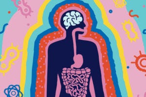 In previous work, the research team has found a connection between negative changes to gut bacteria after a traumatic brain injury and long-term poor decision making.