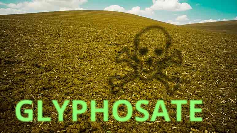 low levels of glyphosate alter gut microbiota