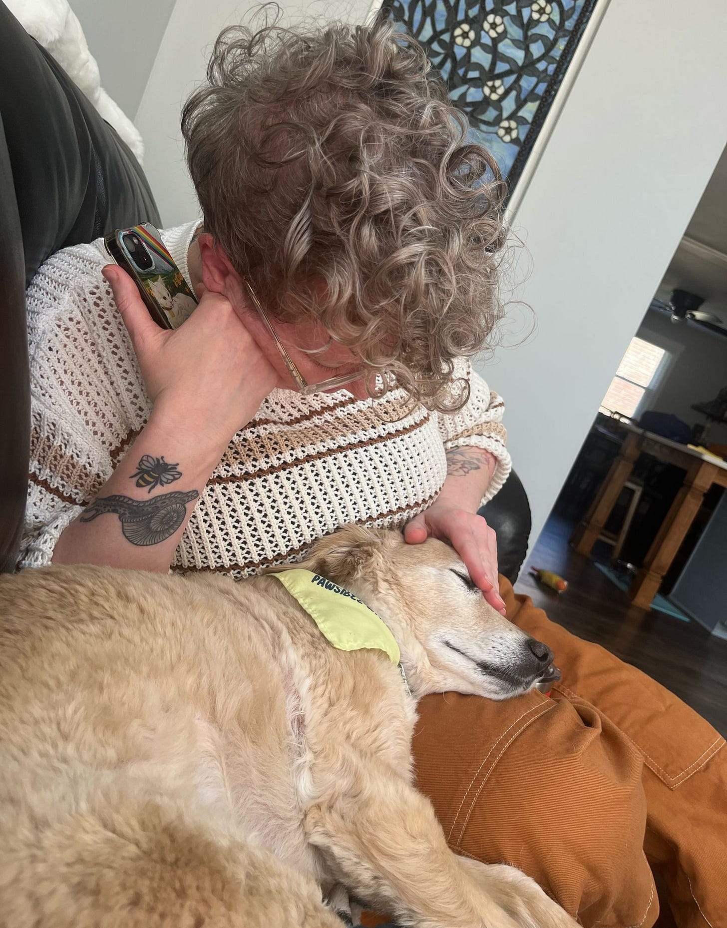 a person with short curly hair sits on a couch snuggled over a sleeping golden doodle in their lap, tenderly petting his head