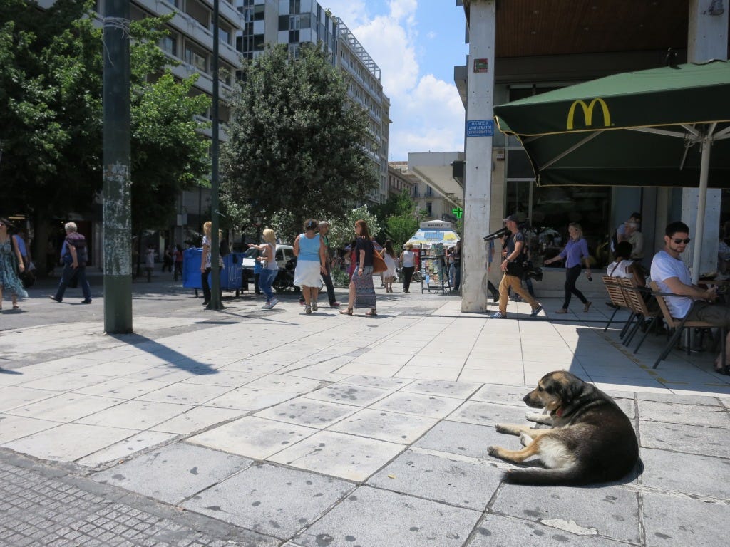 Hey. What's going on? Why are there so many dogs around here? Hey. What's going on? Why are there so many dogs around here?