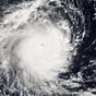 tropical depression's avatar
