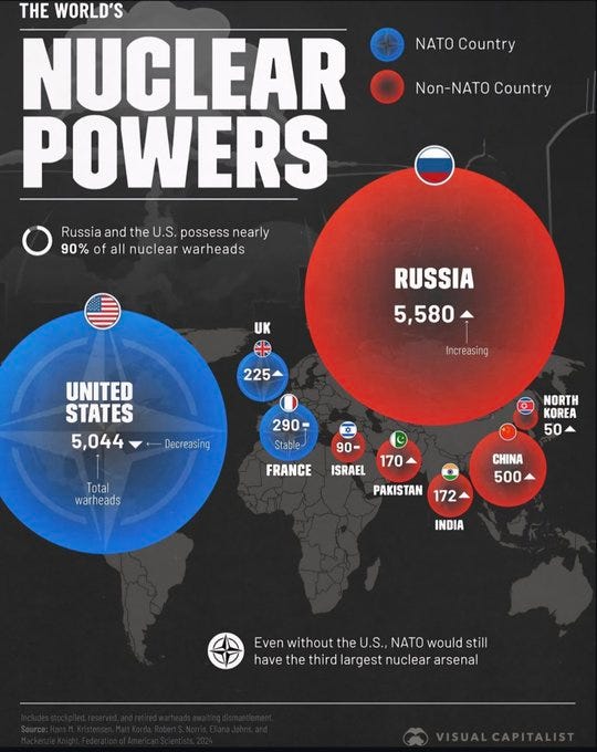 Visual Capitalist 