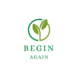 Begin Again 