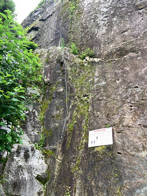 Balma syenite extracted in the Cervo Valley (Biella, Italy)