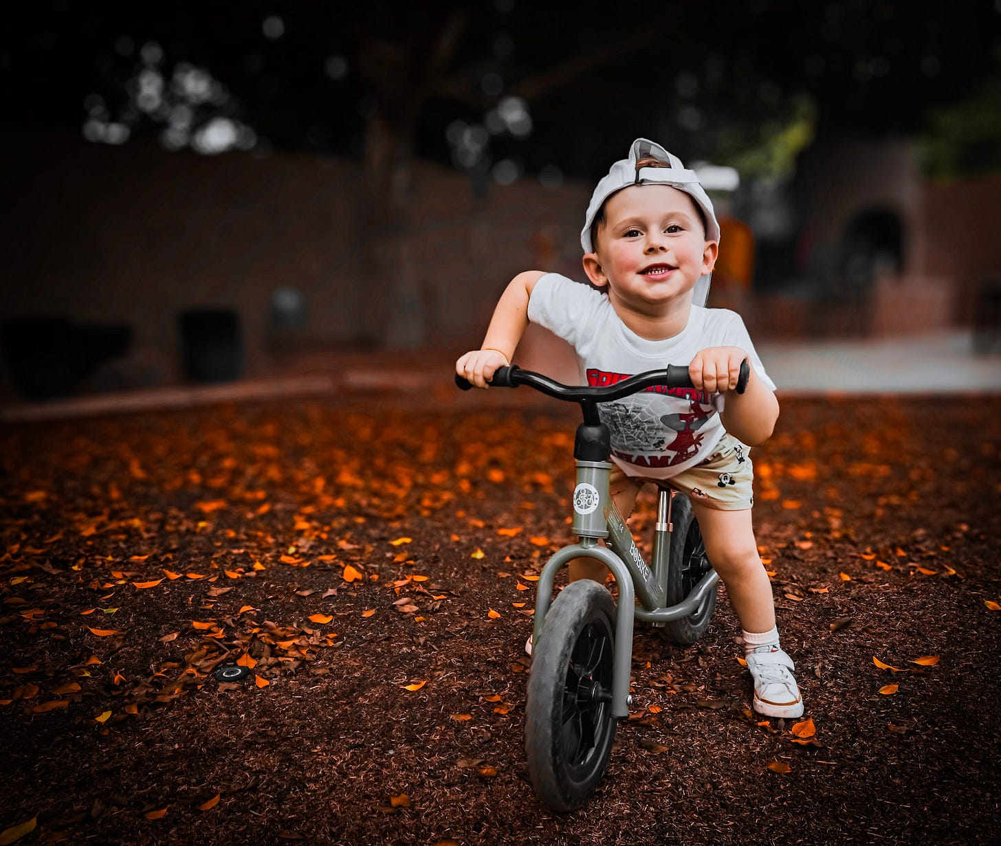 A boy on his bike A boy on his bike
