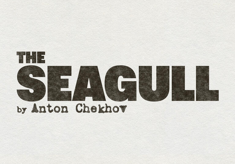 The Seagull