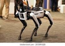 Robodog Royalty-Free Images, Stock Photos & Pictures ...