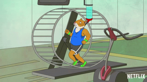 Hamster on hamster wheel