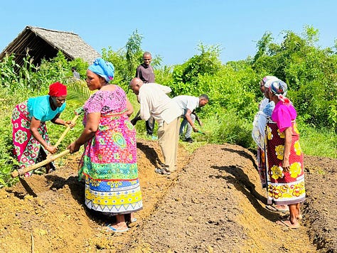 My and my neighbors sharing 'cookies' - building farms