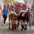 Así fue el segundo encierro de las Fiestas de Colme