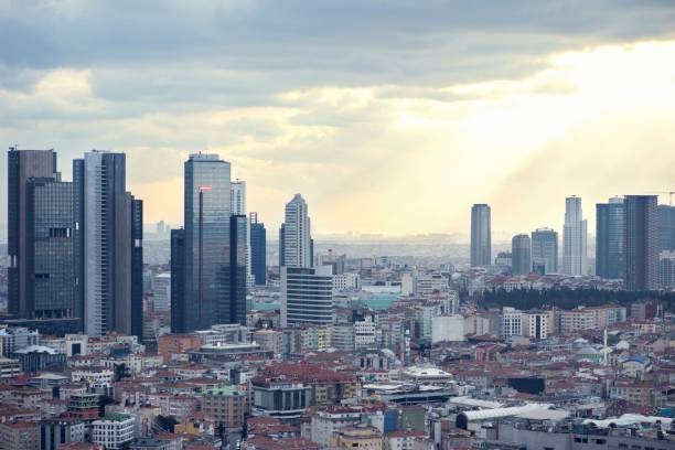 Более 970 работ на тему «шишли»: стоковые фото, картинки и изображения  royalty-free - iStock