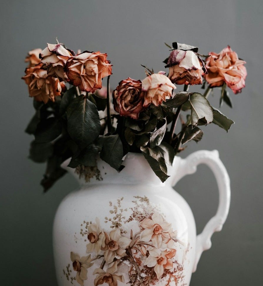 pink petaled flowers in vase pink petaled flowers in vase