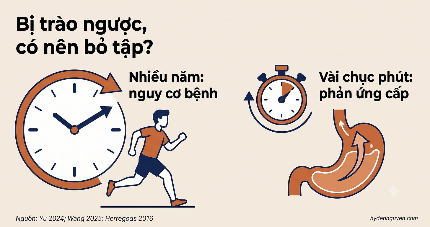 Ảnh minh họa hai chiếc đồng hồ tượng trưng hai loại bằng chứng về tập thể dục và trào ngược: đồng hồ lớn "nhiều năm" đo nguy cơ bệnh ở quần thể (Yu 2024, Wang 2025), đồng hồ nhỏ "vài chục phút" đo phản ứng cấp trong buổi tập (Herregods 2016). Ảnh minh họa hai chiếc đồng hồ tượng trưng hai loại bằng chứng về tập thể dục và trào ngược: đồng hồ lớn "nhiều năm" đo nguy cơ bệnh ở quần thể (Yu 2024, Wang 2025), đồng hồ nhỏ "vài chục phút" đo phản ứng cấp trong buổi tập (Herregods 2016).