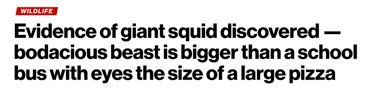 Evidence of giant squid discovered — bodacious beast is bigger than a school bus with eyes the size of a large pizza
