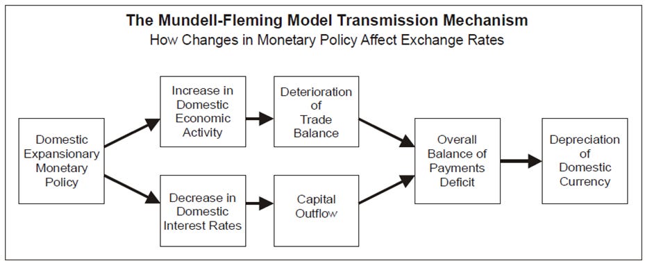 Issue #18: What Determines FX Rates? - by Maroon Macro