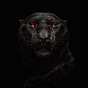 black jag energy's avatar