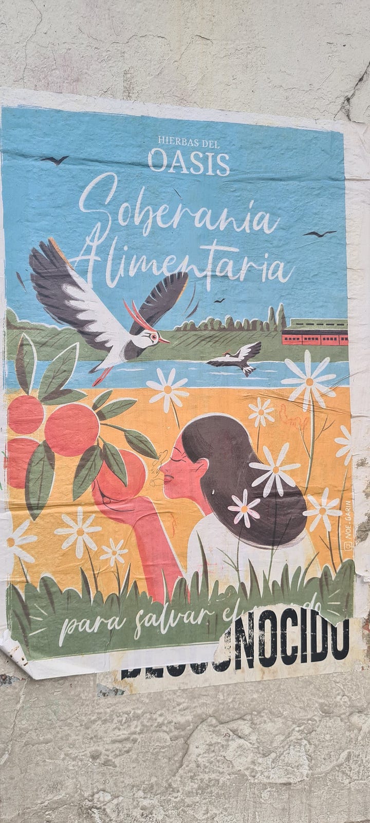 Afiches de Hierbas del Oasis en Almagro