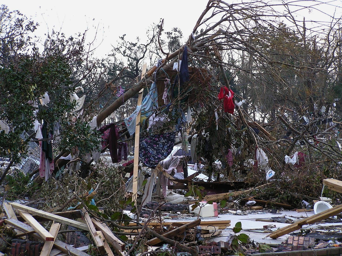 hurrican katrina aftermath fallen trees damage long beach mississippi hurrican katrina aftermath fallen trees damage long beach mississippi