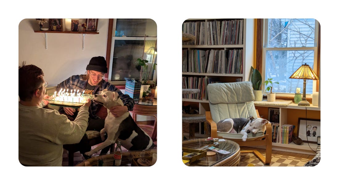 Image 1: a person holding a cake with candles in a rectangular pan presents it to another person holding back a medium sized dog, the dog is trying to sniff the cake. Image 2: a dog sleeps on a reclining chair next to a window with record shelves behind him.