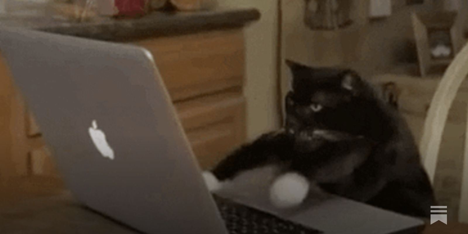 EIP Fun Weekly #20: GM , GM ! - EIP Fun