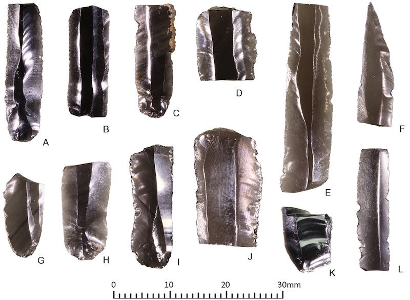 Obsidian artifacts, including microblades, found at the Zhokhov site. Obsidian artifacts, including microblades, found at the Zhokhov site.
