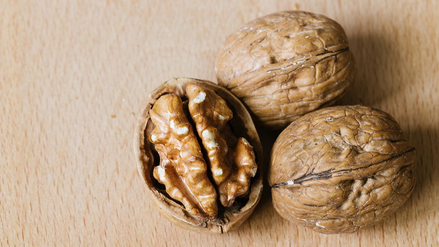 walnuts in shell